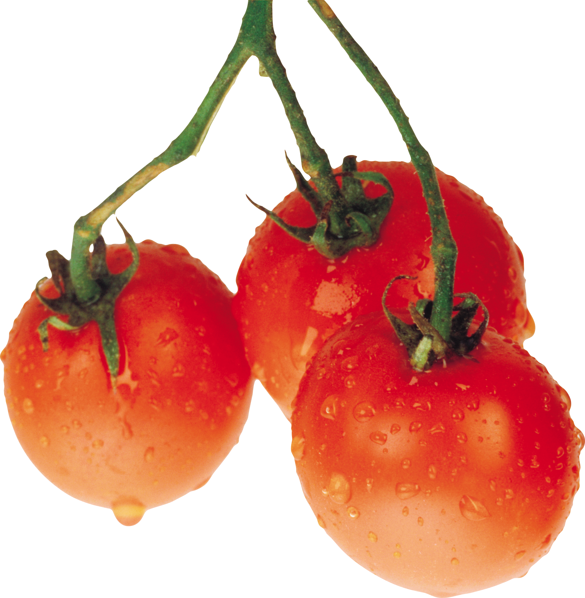 Tomate mit Wassertropfen