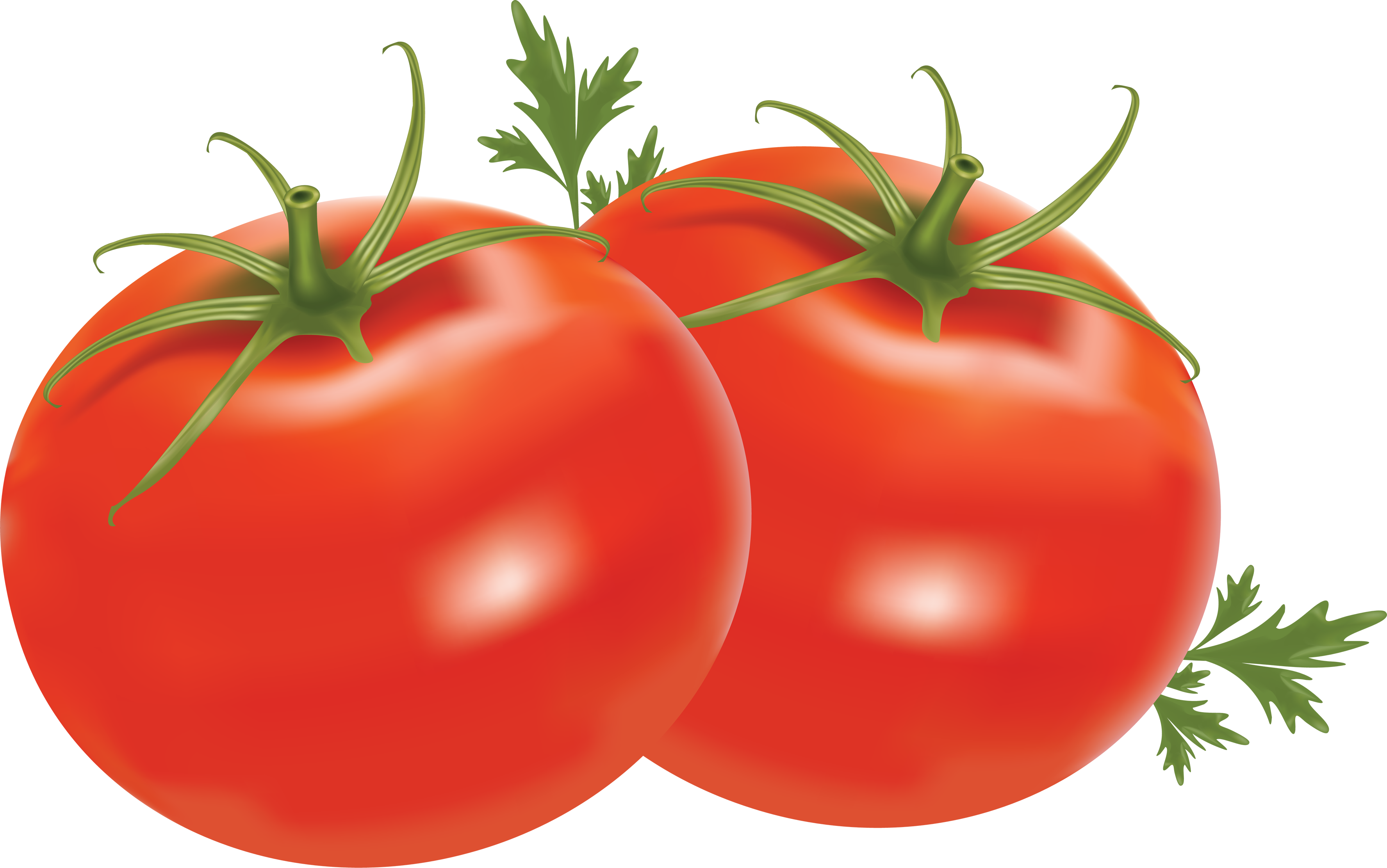 Tomaten mit Blättern