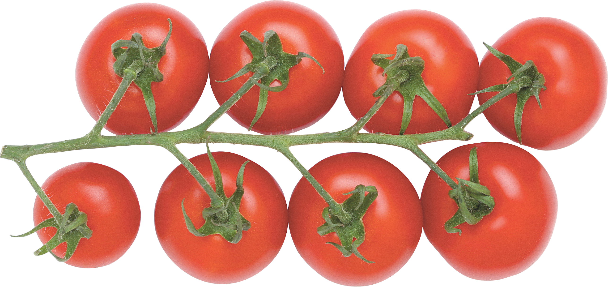 Tomaten-Kirsche