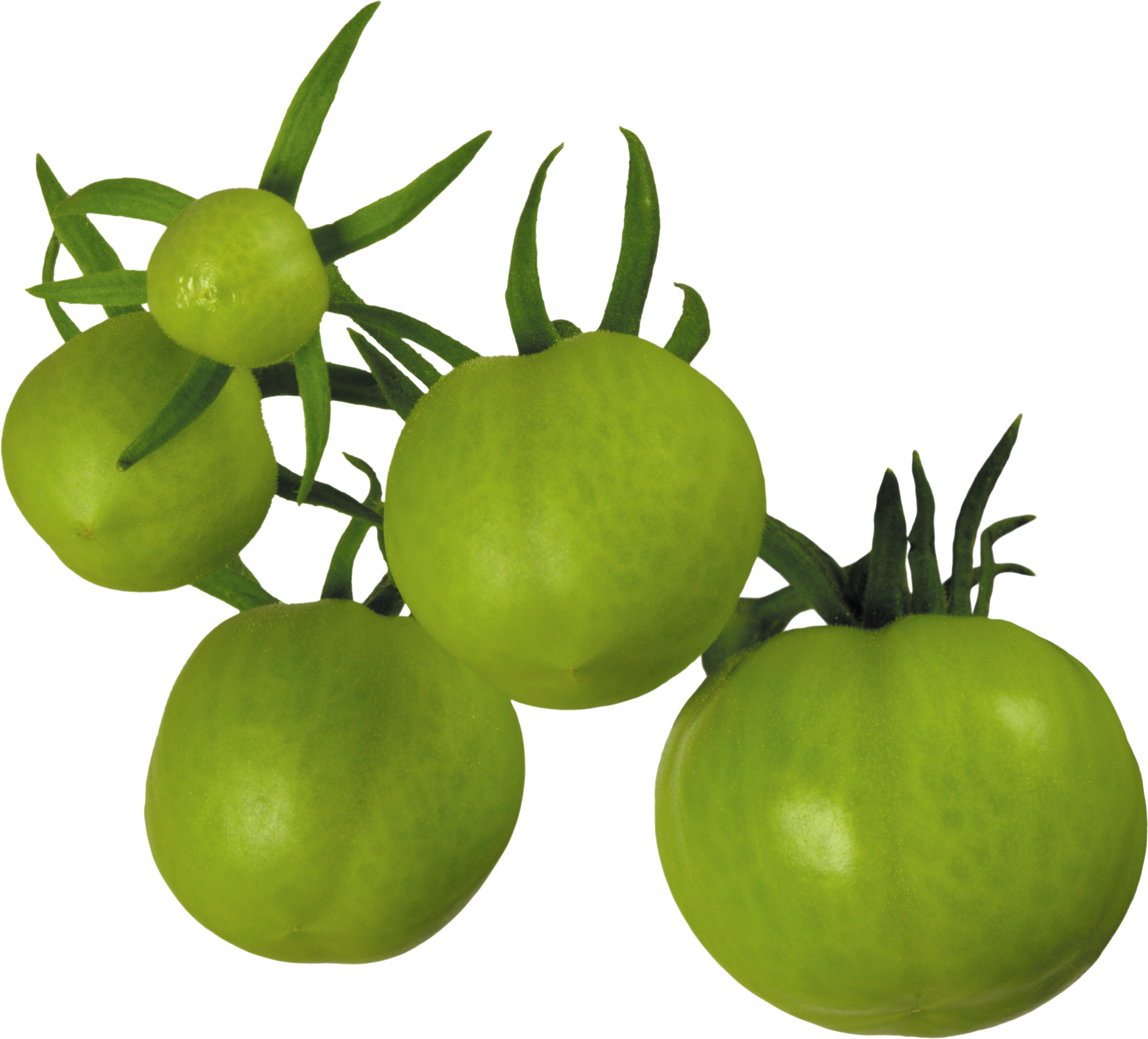 Ein paar grüne Tomaten